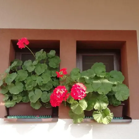 Privat Kovacova *