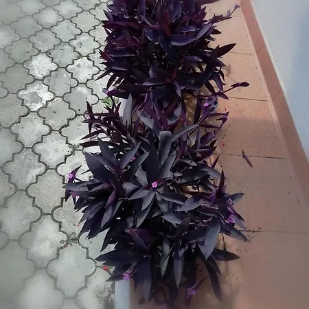 Σπίτι διακοπών Privat Kovacova Žiar