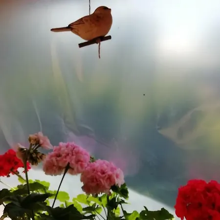 Privat Kovacova Holiday home Ziar