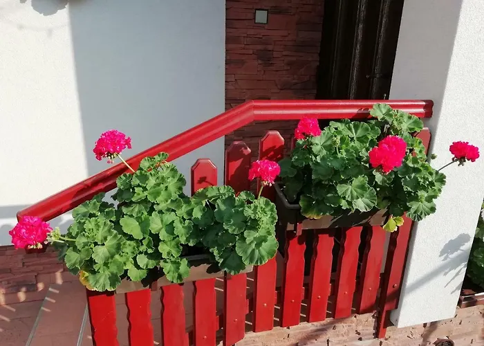 Privat Kovacova *